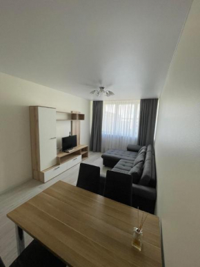 ROŽĖS BUTAS Apartment